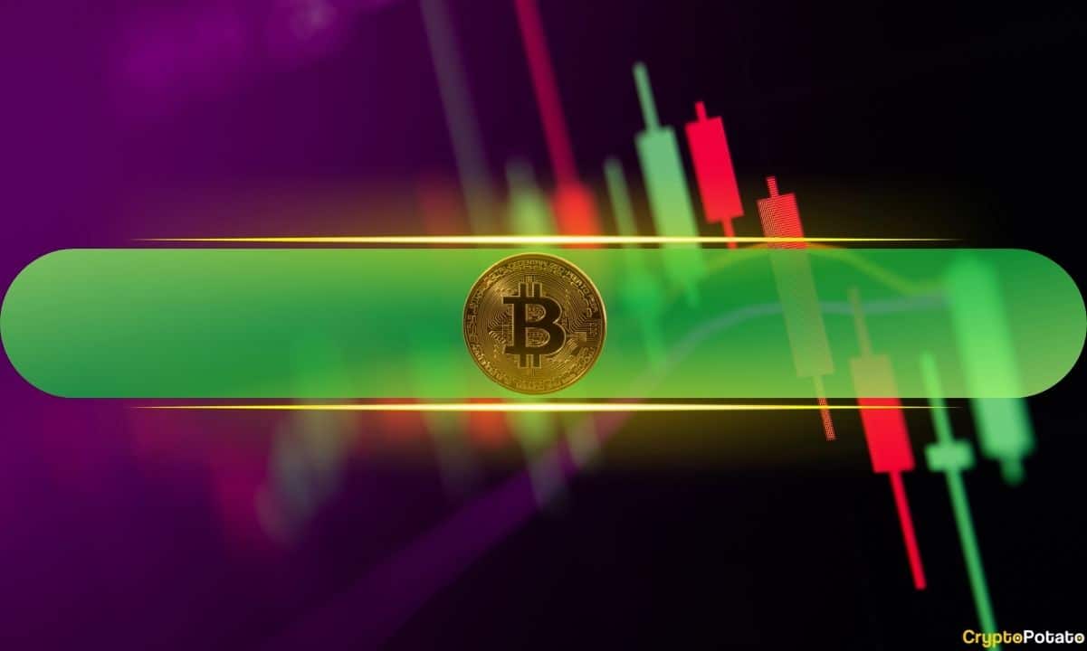 Bitcoin Dominance Soars as These Altcoins Bleed Out (Weekend Watch)