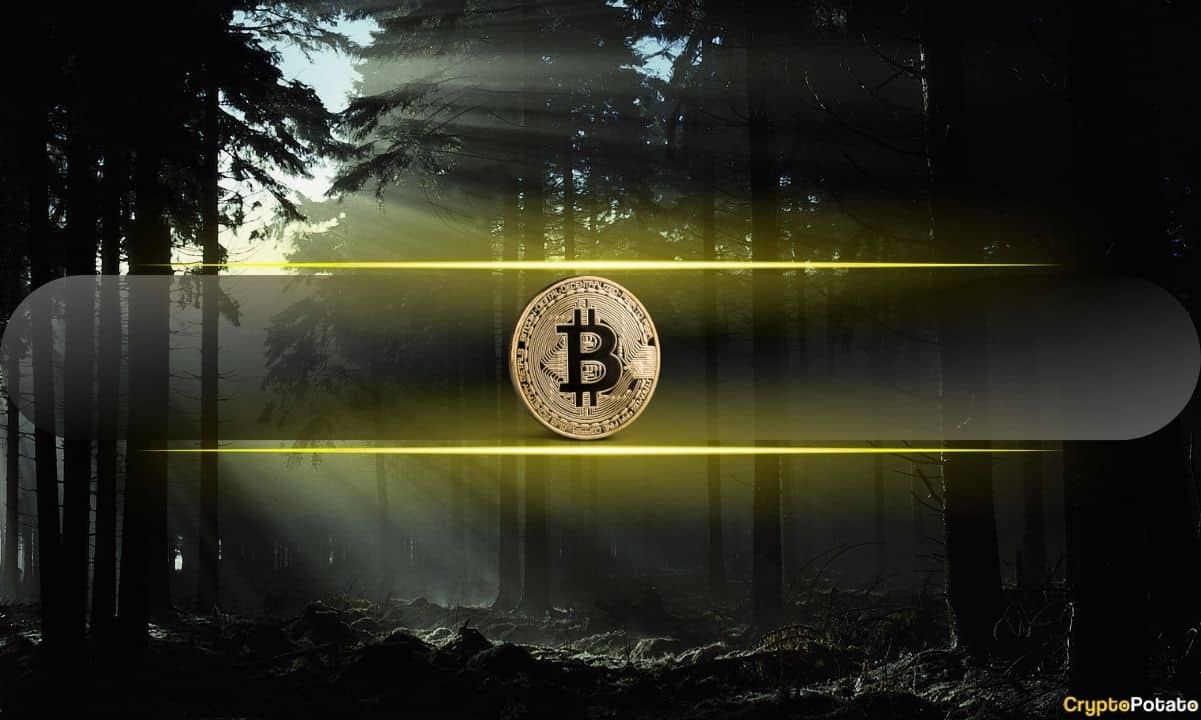 Mysterious Bitcoin Transaction: Satoshi Nakamoto’s Wallet Resurfaces in a $1.17 Million Move