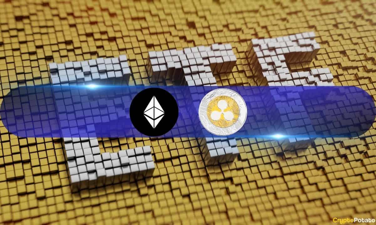 Spot Ripple (XRP) and Ethereum (ETH) ETFs? Valkyrie Investment Chief Thinks So
