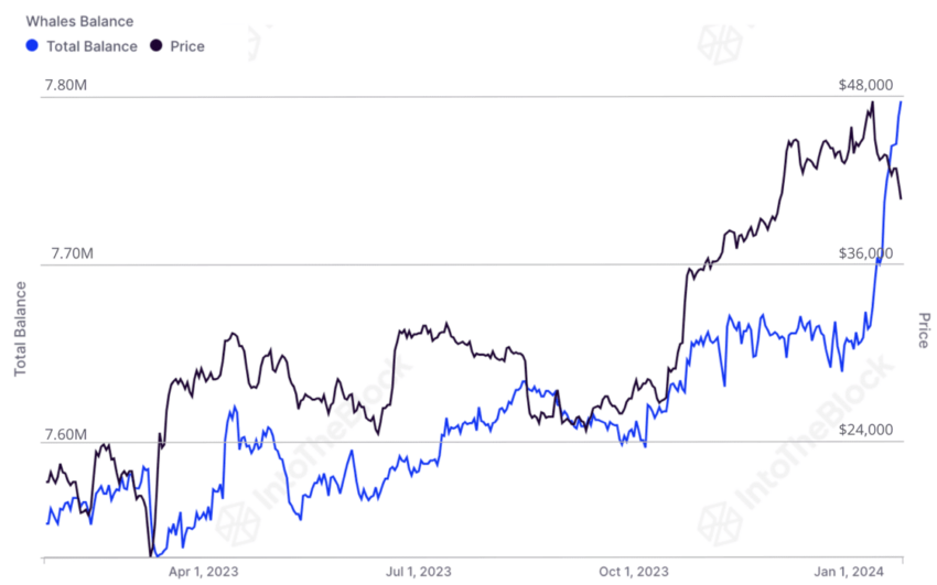 bitcoin whale etf price