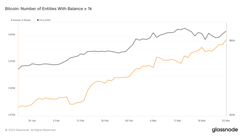 Addresses With At Least 1,000 BTC.