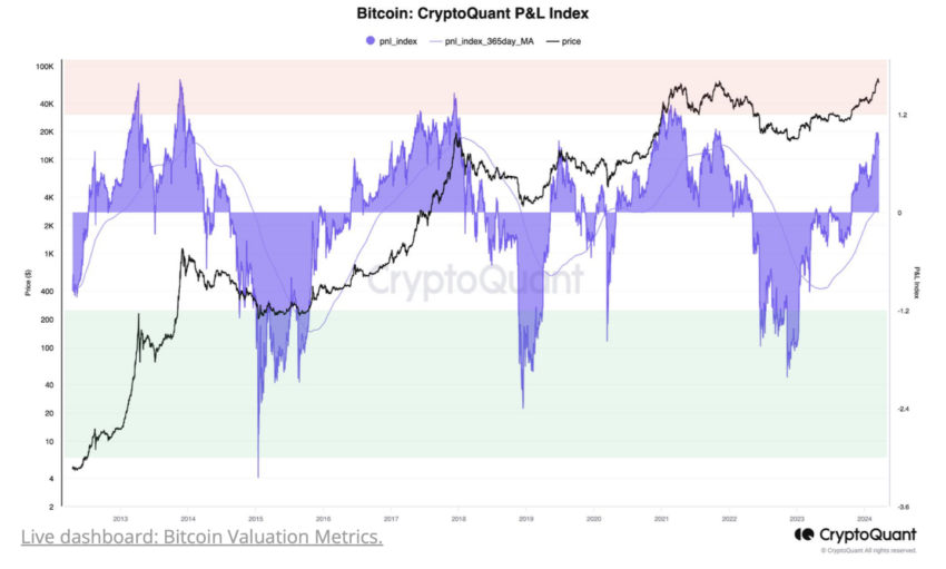 Bitcoin P&L Index