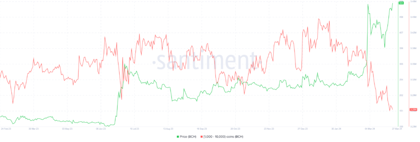 Bitcoin Cash Whale Accumulation. 