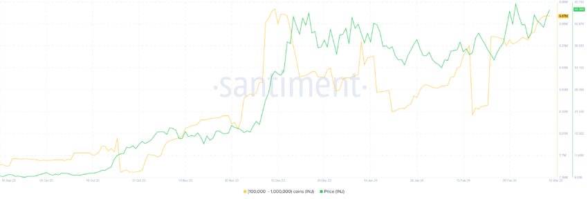
Injective Whale Accumulation