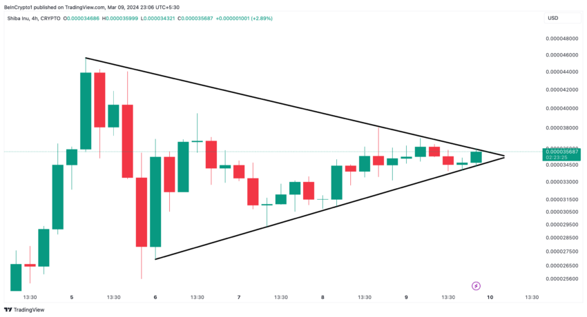Shiba Inu (SHIB) Price Performance