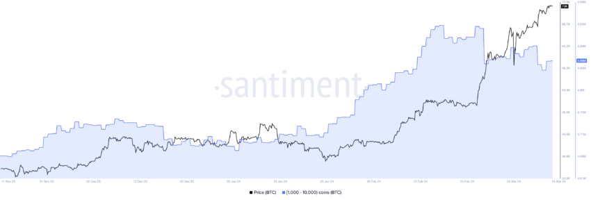 Bitcoin Whales Holdings