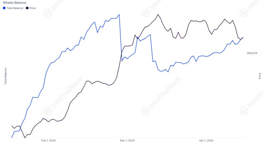 Bitcoin Whales Balances. Source: IntoTheBlock