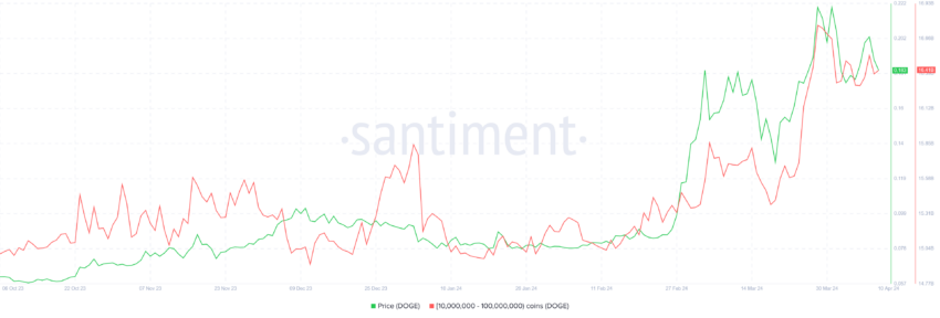 Dogecoin Whale Holdings. 