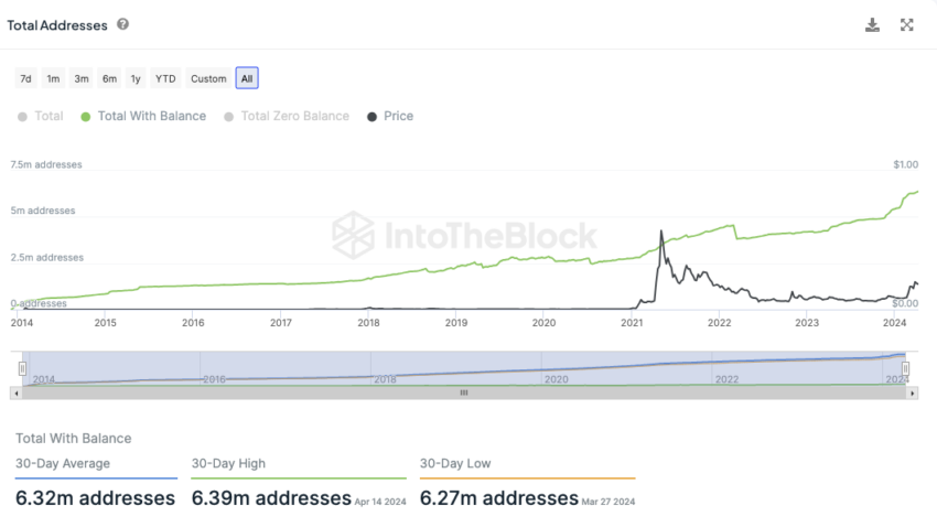 Dogecoin InToTheBlock On-Chain Analysis