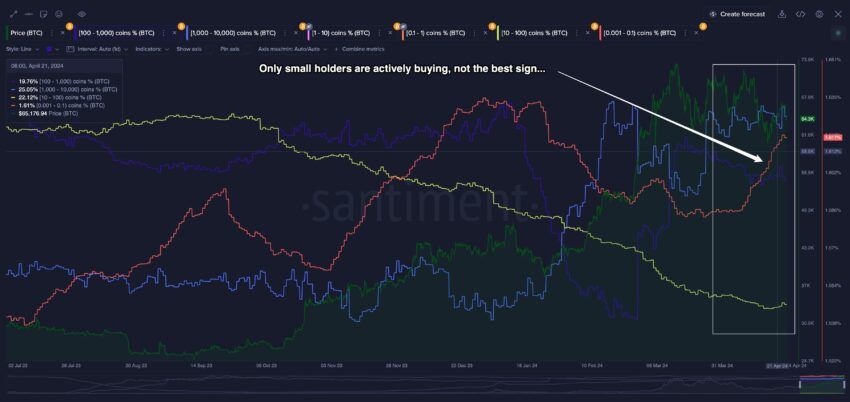 Supply Distribution: Whales (Dark and Light Blue), Mid-sized Holders (Yellow) and Small Hodlers (Red Line). 
