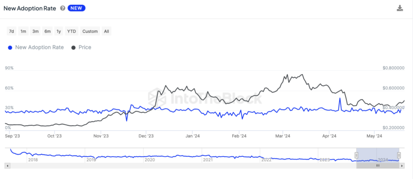 ADA New Adoption Rate: IntoTheBlock