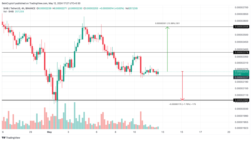 Shiba Inu (SHIB) Price Performance