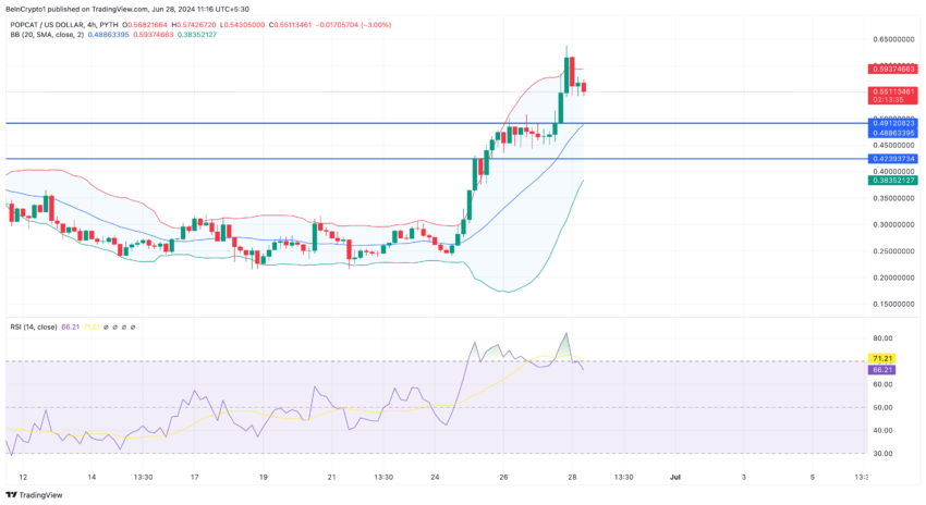 POPCAT price analysis for July 2024