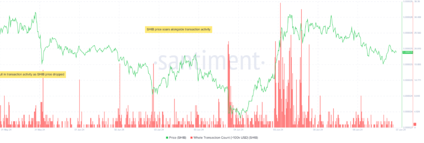 SHIB on-chain data