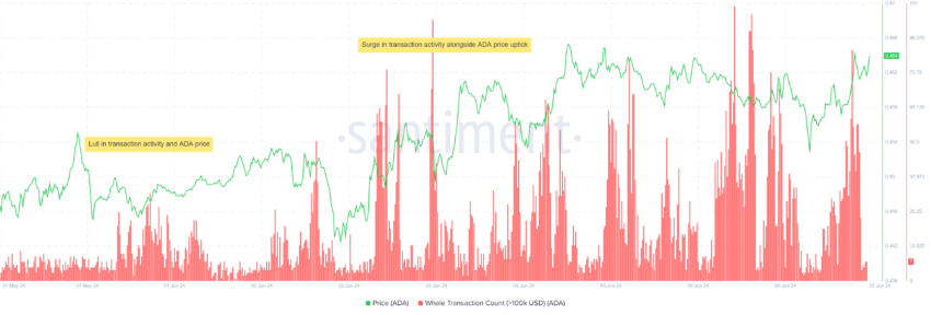 ADA on-chain data
