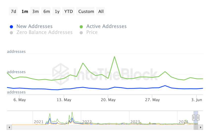 Shiba Inu Network Activity