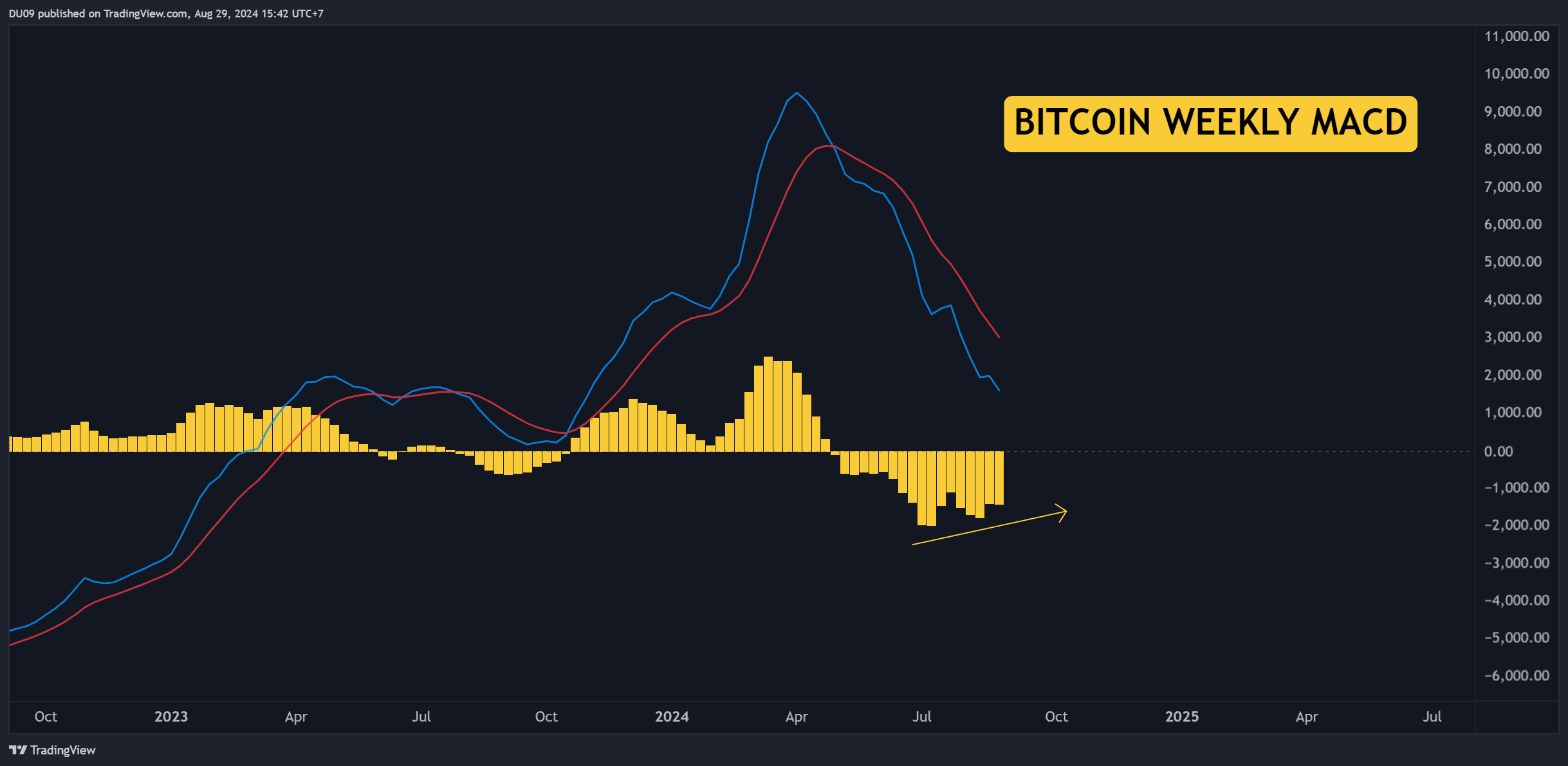 BTCUSD_2024-08-29_15-42-43