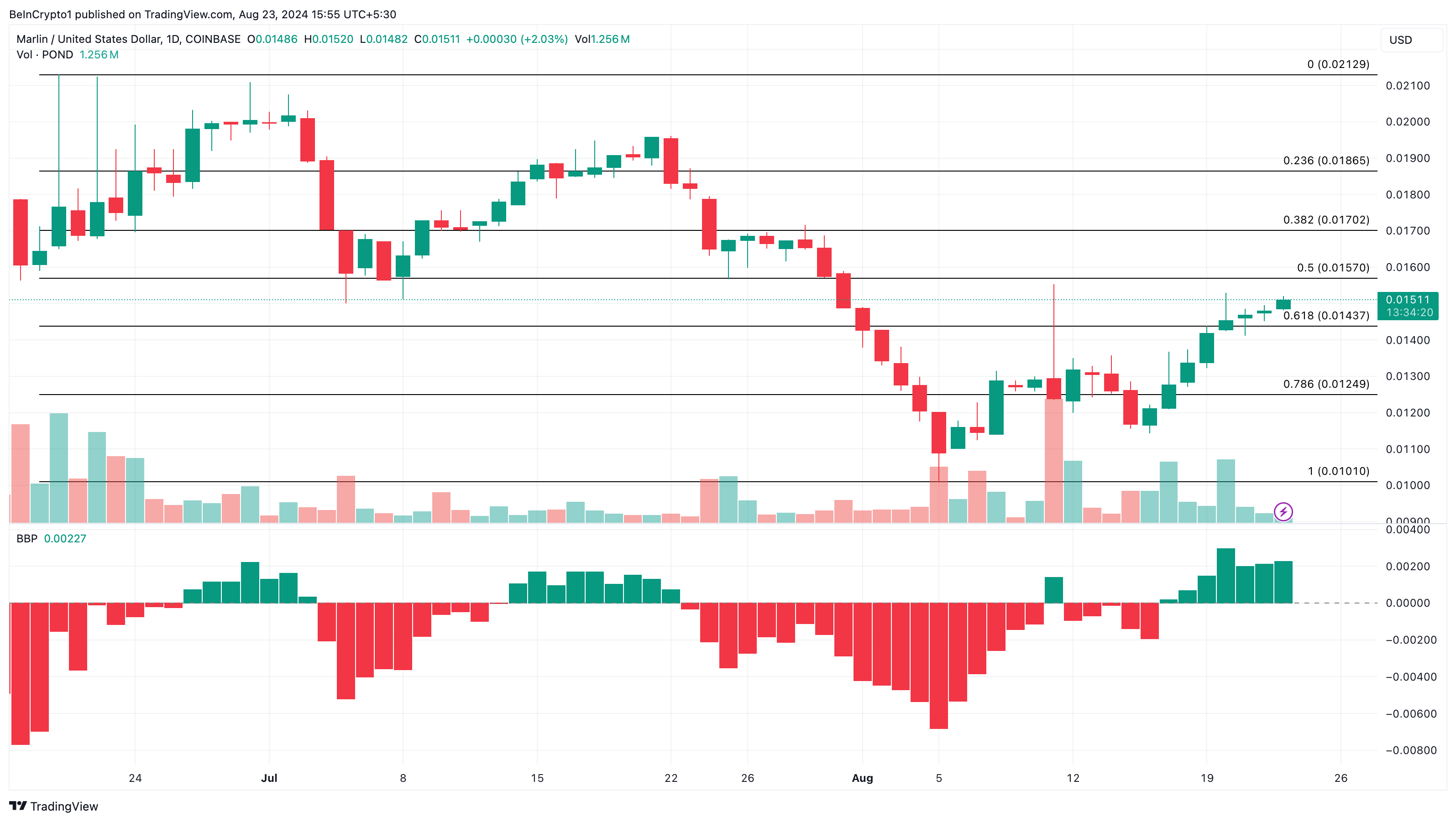 Marline Daily Analysis. 