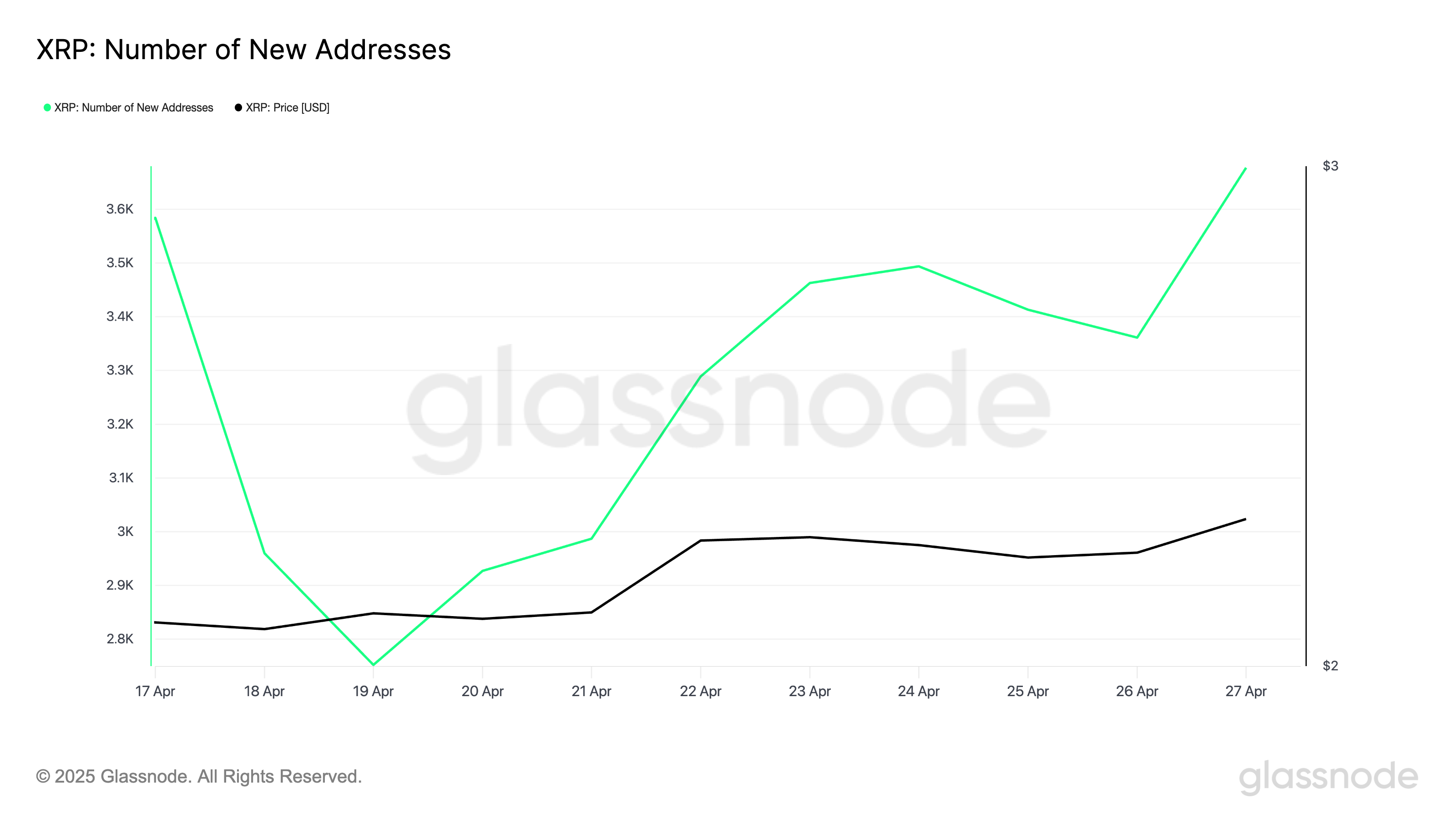 XRP Number of New Addresses