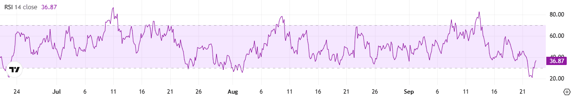 SHIB RSI
