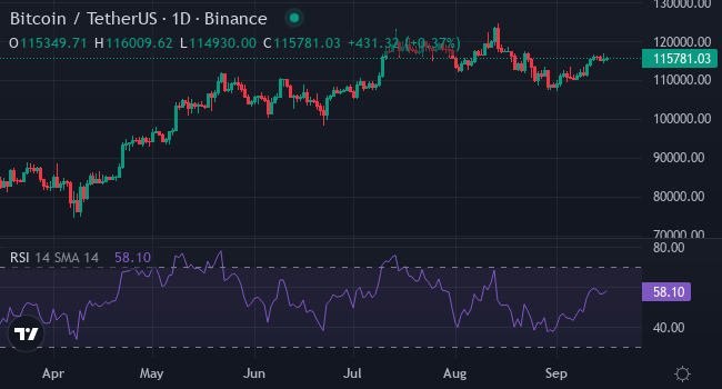 Chart BTC