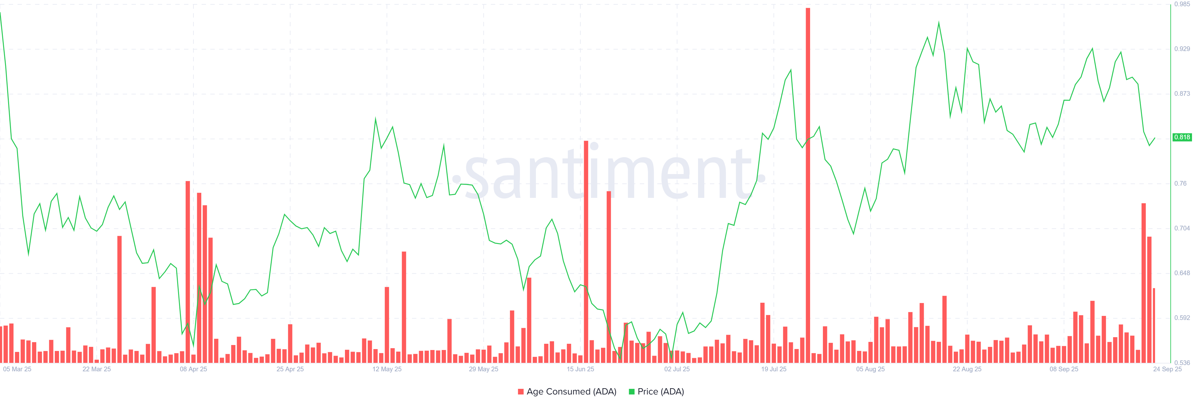 Cardano Age Consumed