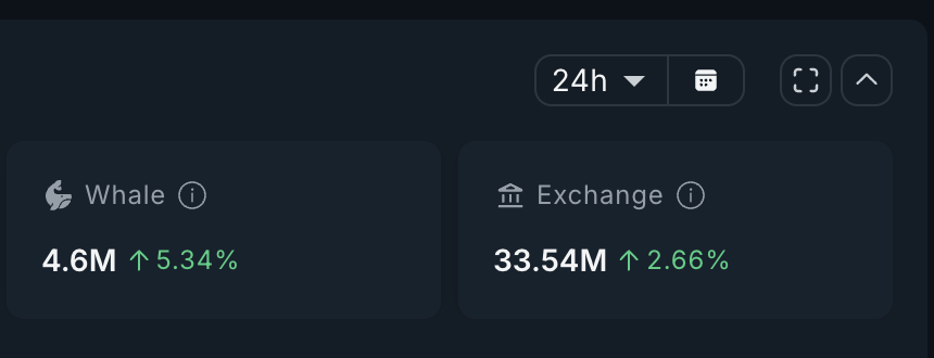 MORPHO Whales In Action