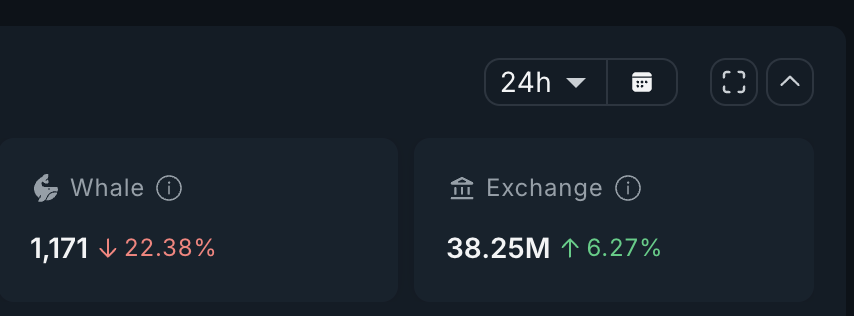 PROVE Whales Haven't Joined In Yet