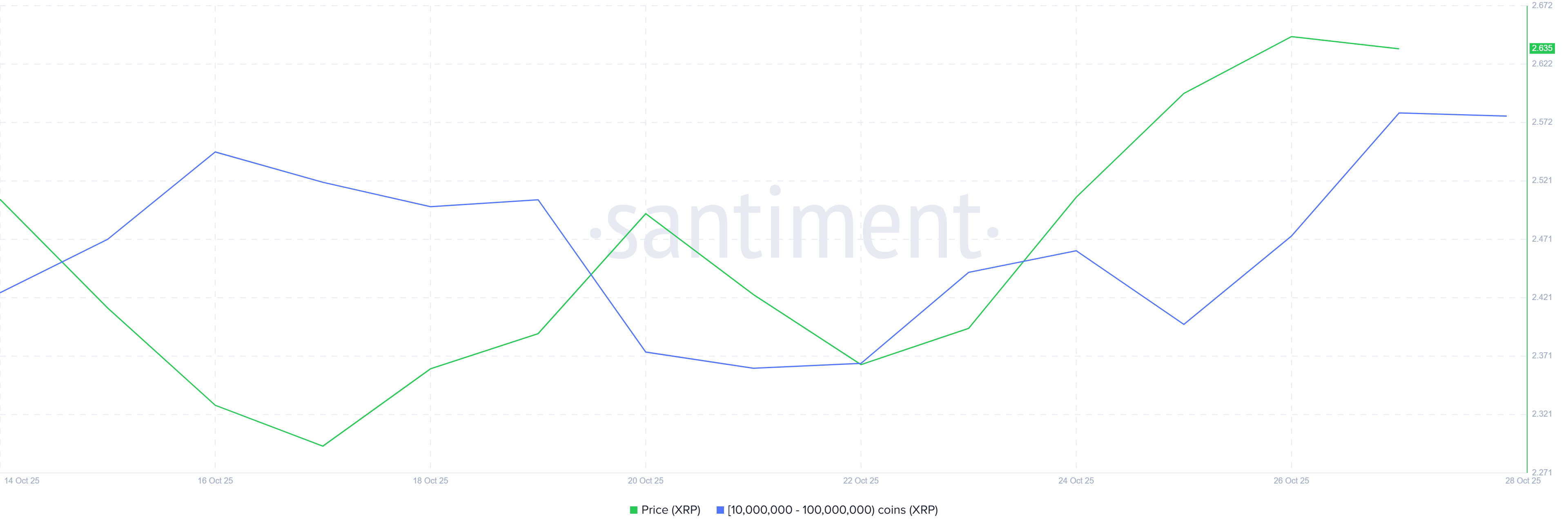 XRP Whale Holding