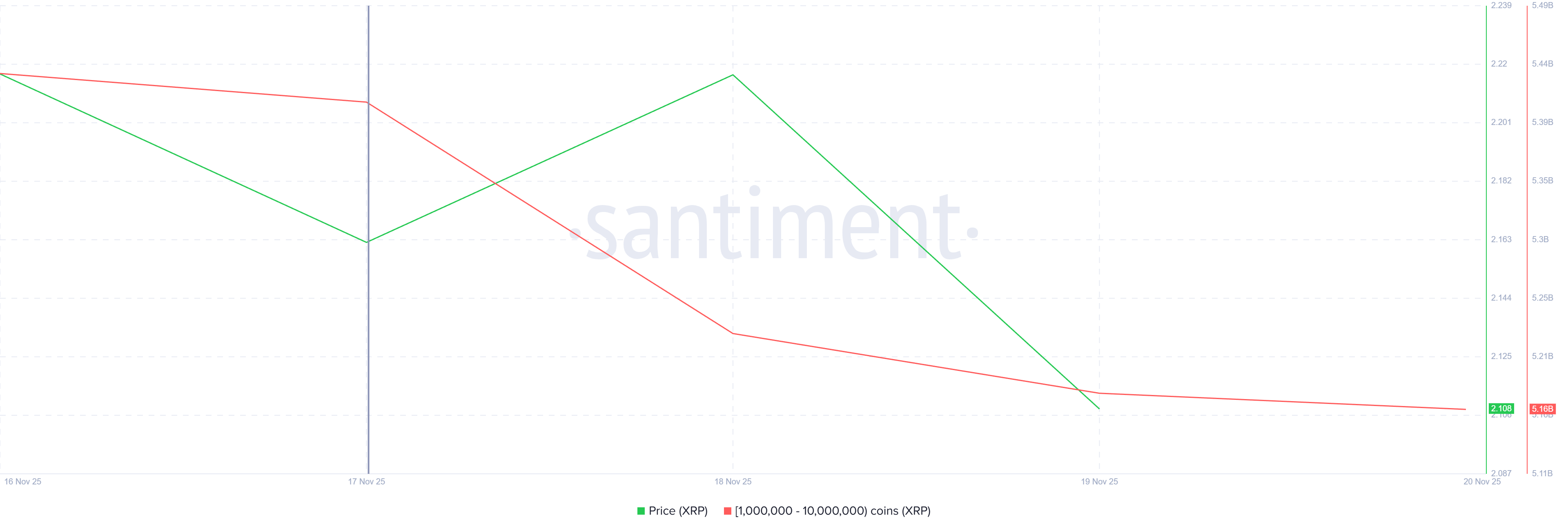 XRP Whale Holding
