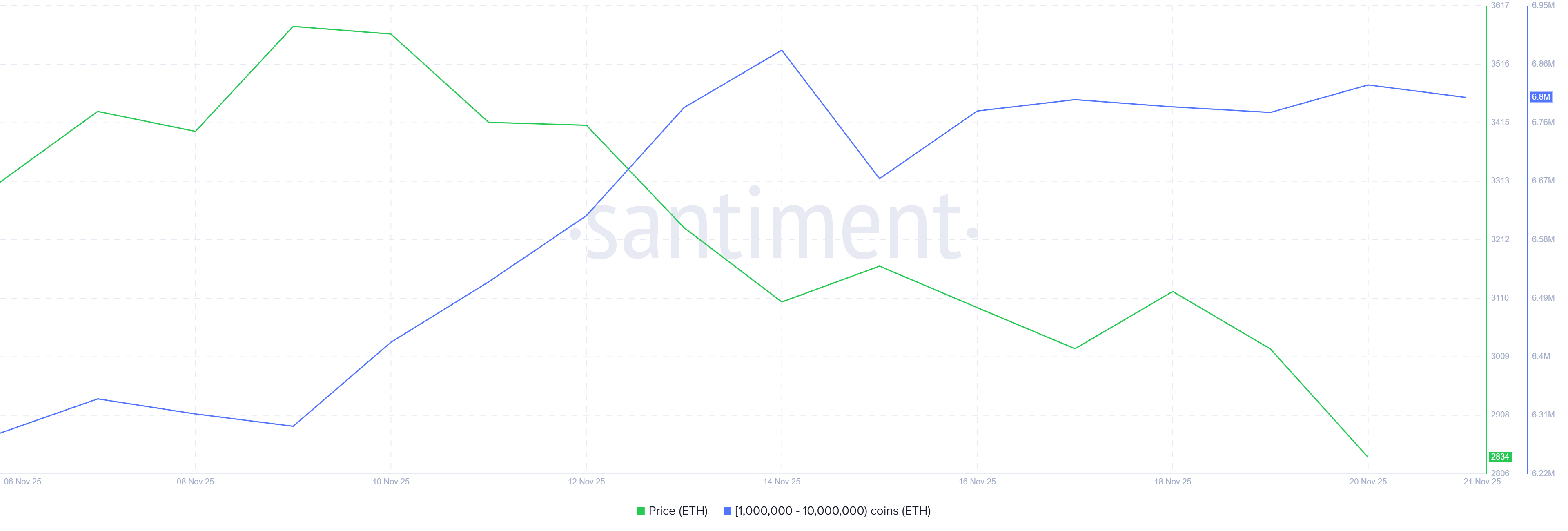 Ethereum Whale Holdings