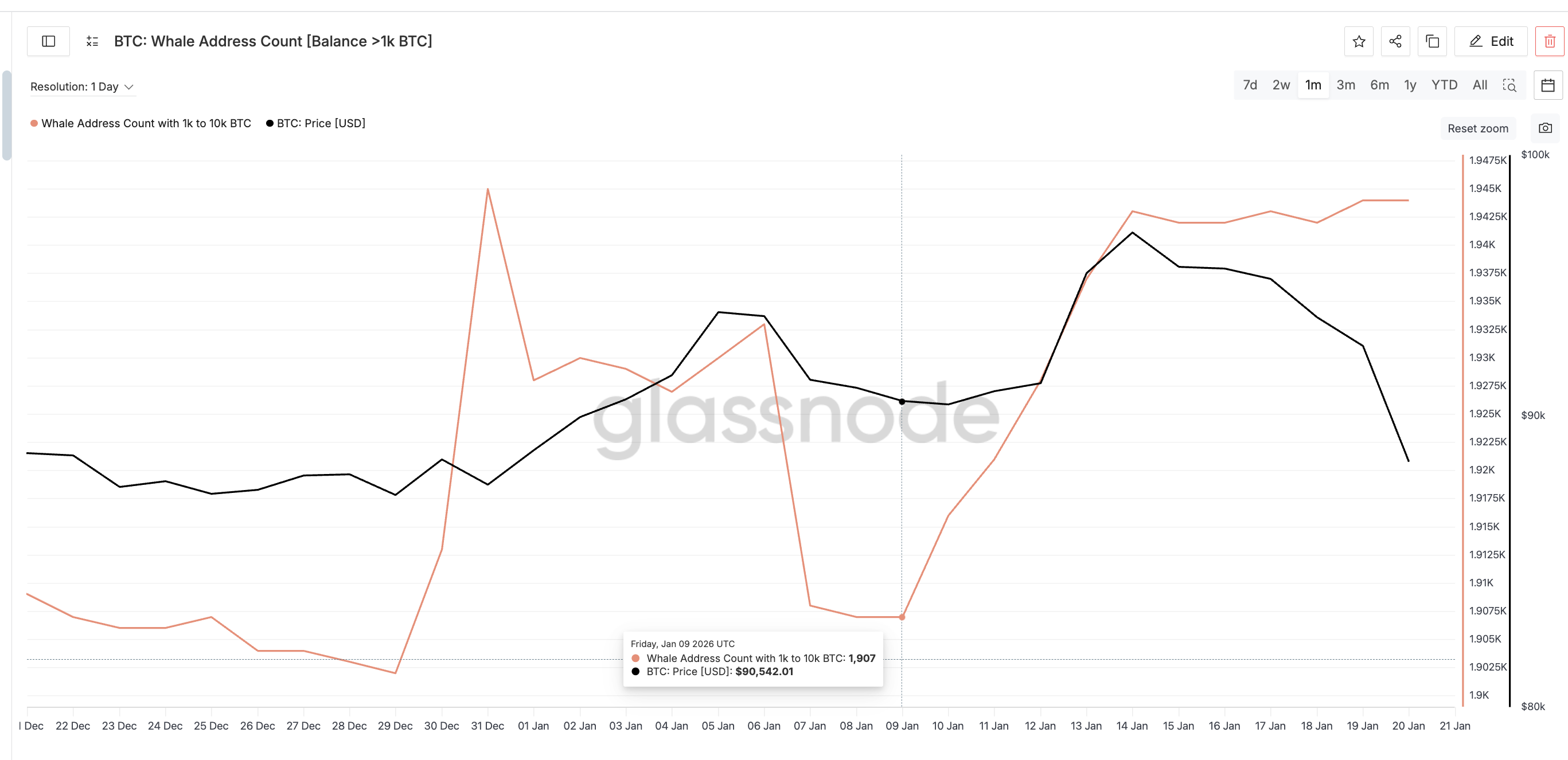 Whales Supporting Price