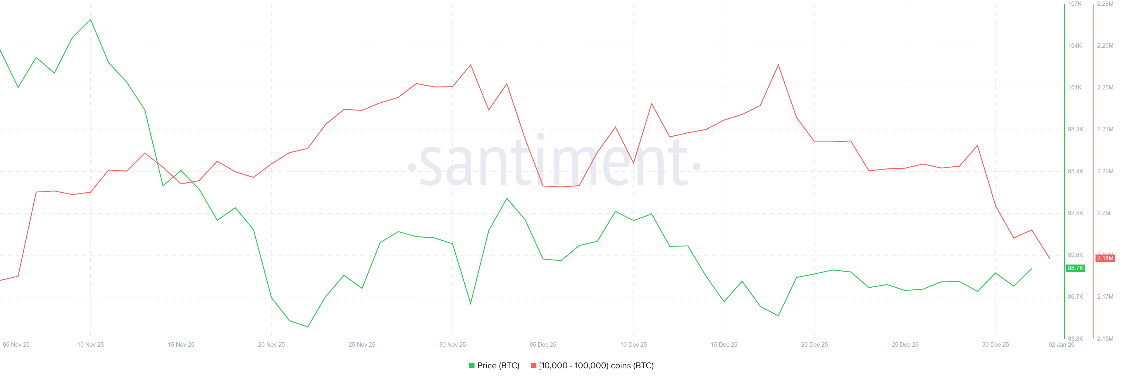 Bitcoin Whale Holding