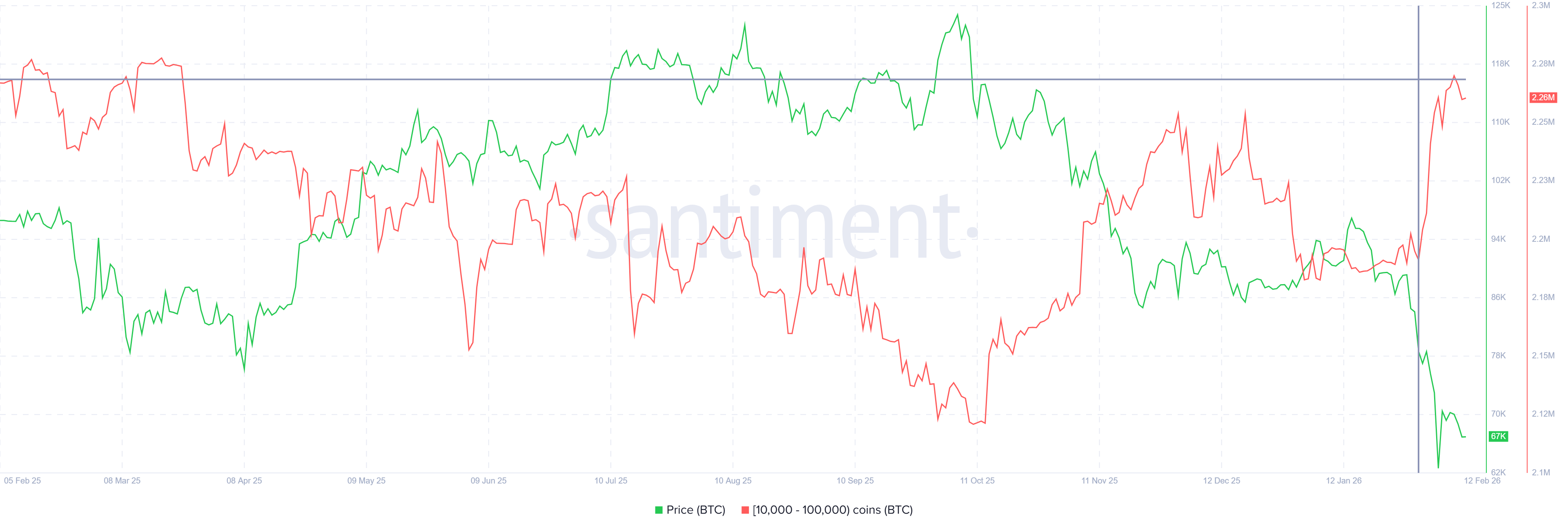 Bitcoin Whale Supply