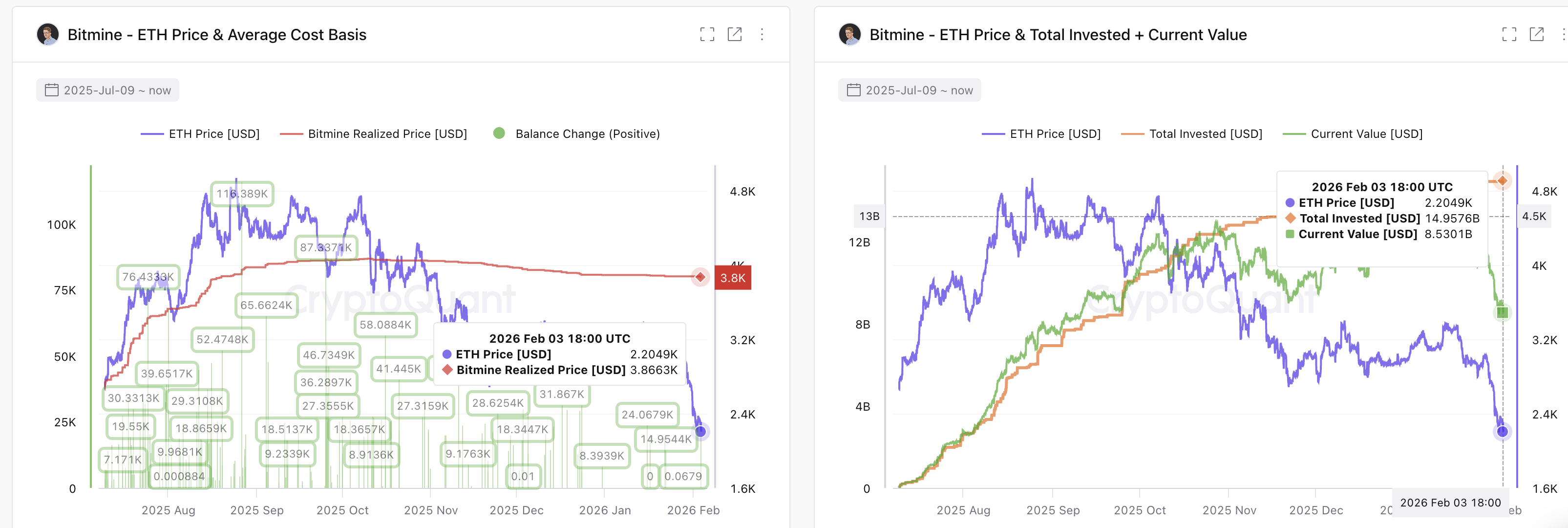 BitMine Holdings