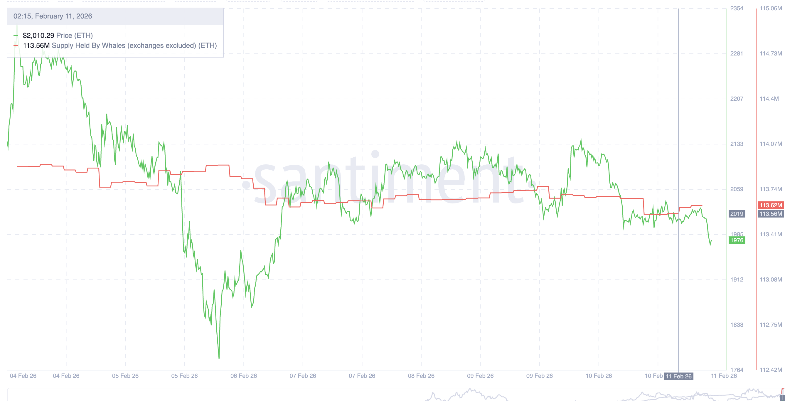 Ethereum Whales