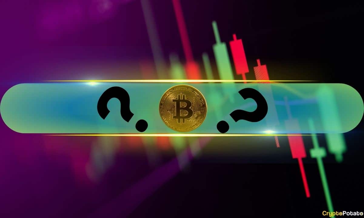 Altcoins With Double-Digit Gains as Bitcoin Rocketed to 3-Month High: Market Watch